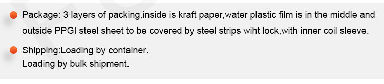 لفائف الصلب PPGI (13)