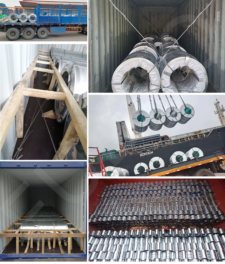 لفائف الصلب PPGI (11)