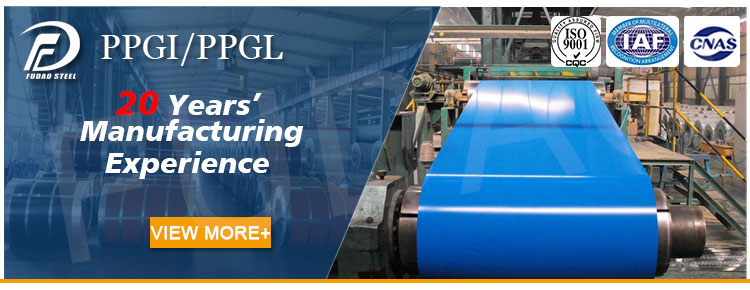 لفائف الصلب PPGI (1)